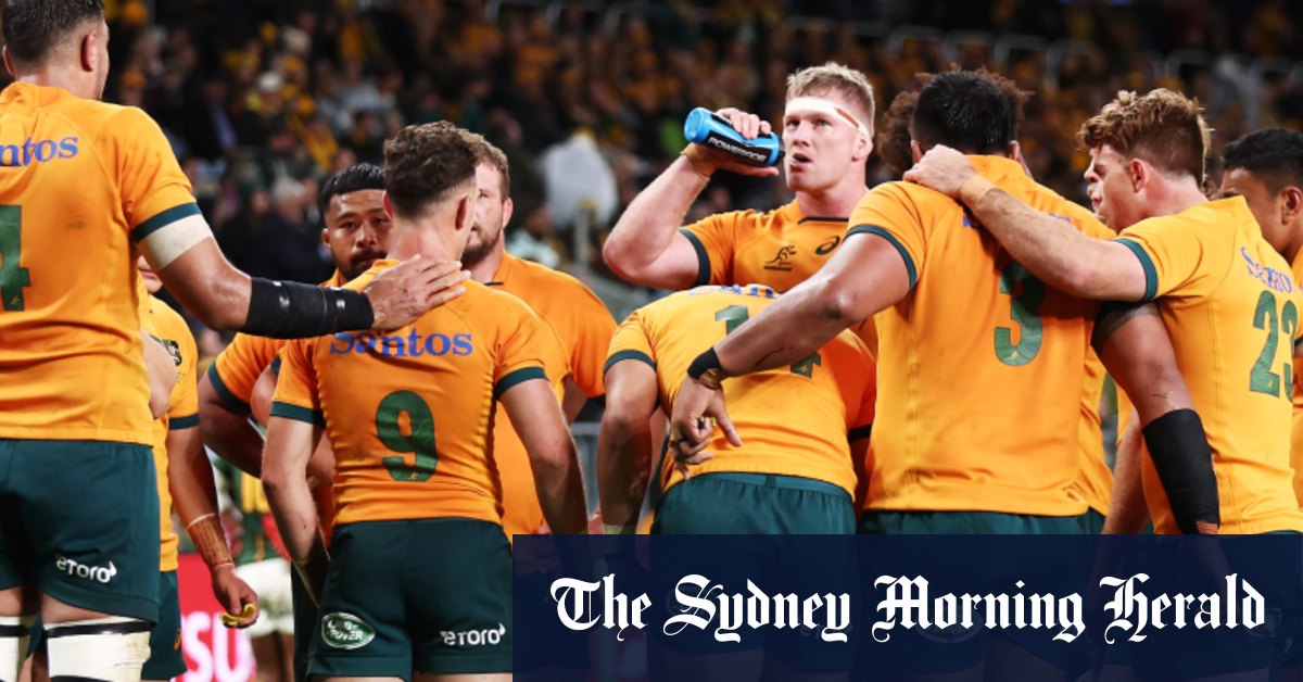 ‘Reality check’ needed for Wallabies’ World Cup hopes, says Burke