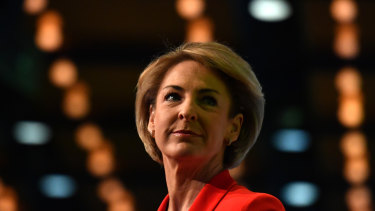 Michaelia Cash opened the Council of Small Business of Australia Summit on Thursday.