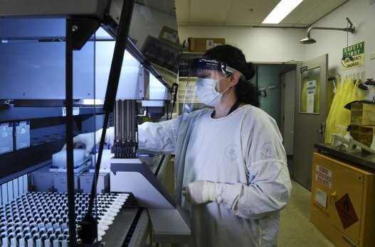 Senior hospital scientist Anna Condylios  at work in the lab of the Prince of Wales Hospital.