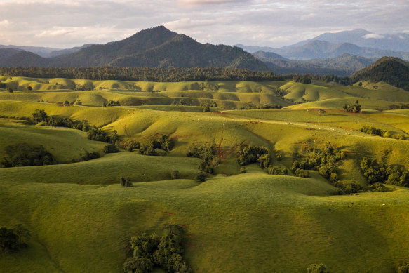 The Atherton Tablelands is a top nature destination.