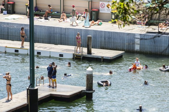 Swimmers enjoy Dawn Fraser Baths on a hot public holiday afternoon.