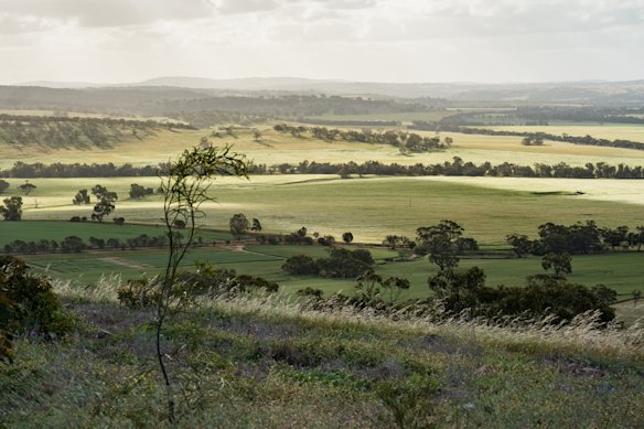 From the summit of Mt Mackie, Downes first saw what colonists envisioned – a mosaic of fields and healthy crops – but she intends to take her land back to the intact landscape from before settlement.