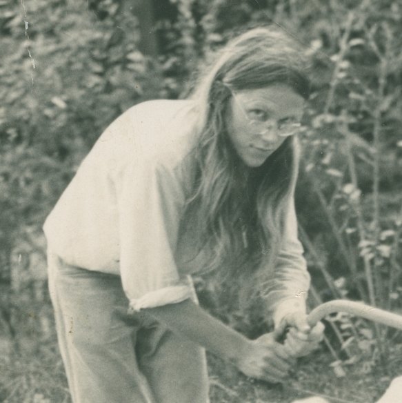 Tom Carment sawing wood at Bellingen in 1974.