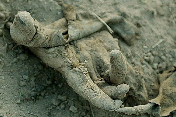 An unidentified Iraqi boy's hand protrudes from his makeshift grave in the garden area next to the carpark at the Saddam City Hospital, Baghdad, in 2003.