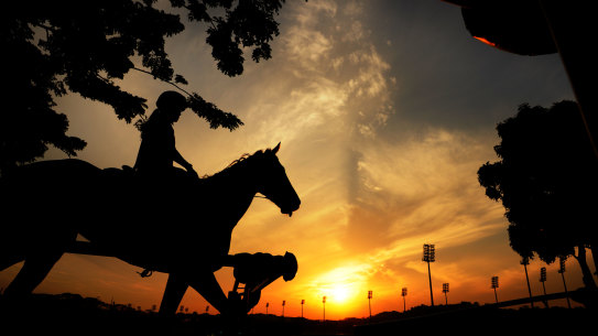 Pre-race trackwork at Kranji racecourse, Singapore.
