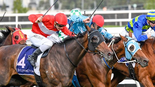 Ben Melham rides Sacramento to victory in the VRC St Leger at Flemington  on Saturday.