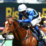 Race-by-race preview and tips for Randwick on Saturday