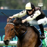 Race-by-race preview and tips for Saturday’s meeting at Rosehill
