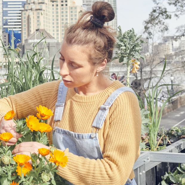 Jo Barrett picking calendula flowers – the edible petals are used to brighten up salads: “We should try different dishes that are still really delicious but might come from a more ethical place.”