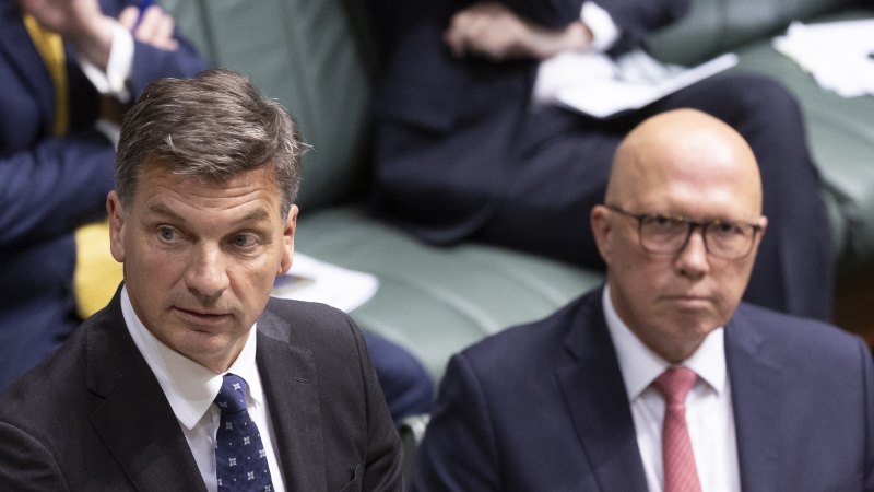 Shadow treasurer changes script on Dutton’s immigration cuts