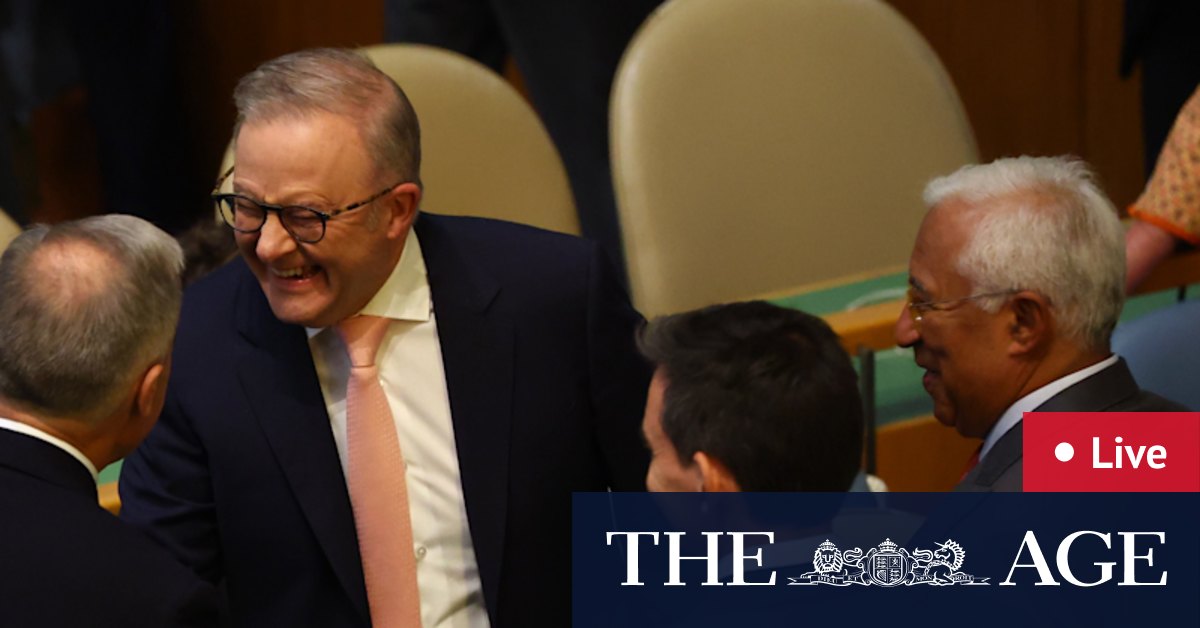 Albanese addresses UN, anticipated to restate Palestine help; Trump won’t meet PM whereas leaders are in New York