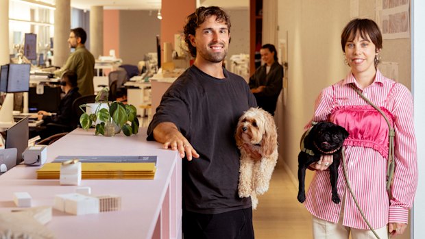Architects Lachlan Campley  with his dog Bear and Holly Julian with her dog Judy at the  firm’s pet-friendly Sydney offices.