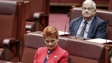 Brian Burston quit Pauline Hanson's One Nation party last month and now represents the rival United Australia Party set up by billionaire Clive Palmer.