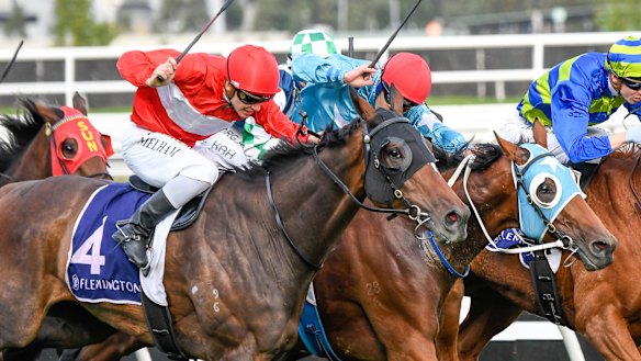 Ben Melham rides Sacramento to victory in the VRC St Leger at Flemington  on Saturday.