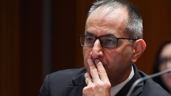 Home Affairs Secretary Mike Pezzullo has been recognised in the Queen's Birthday Honours. 