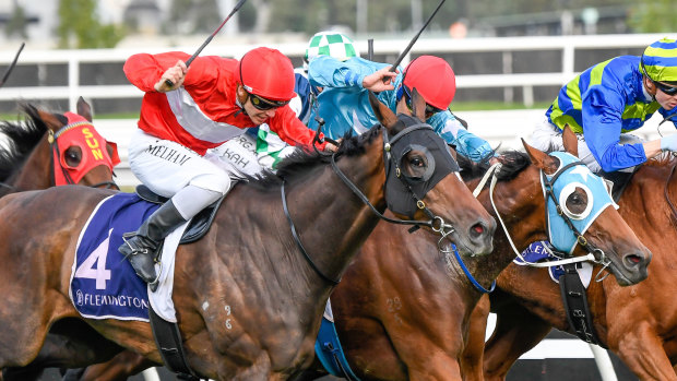 Ben Melham rides Sacramento to victory in the VRC St Leger at Flemington  on Saturday.
