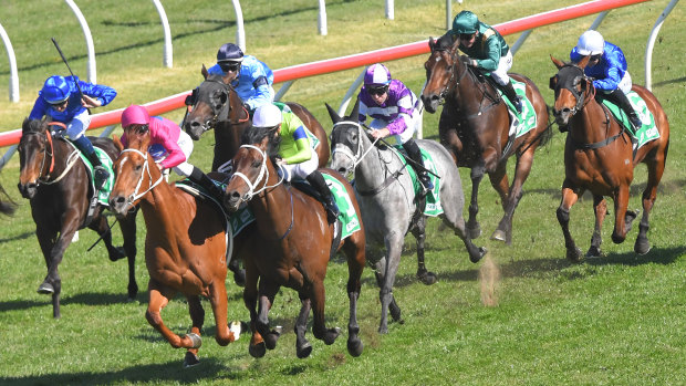 Today's seven-race meeting at Muswellbrook features some encouraging prospects. 