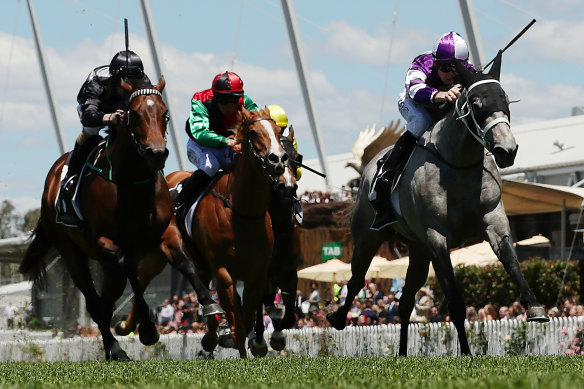 Lucicello comes down the outside to win first-up at Rosehill last month. 