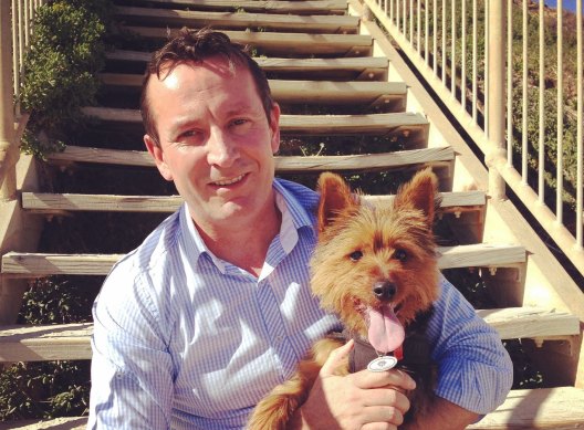 Mark McGowan vowed to put an end to WA puppy farms if elected in 2017. 