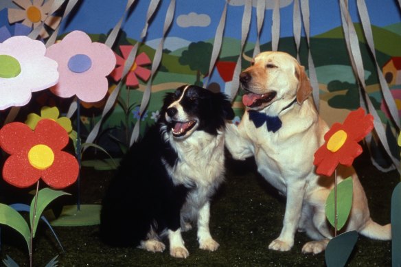 Bouncer (right) in a dream sequence on Neighbours.