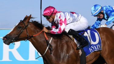 Champagne Cuddles out to go one better in the Golden Pendant this year