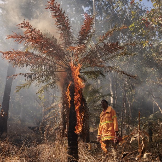 Gunggandji Land and Sea Ranger Justin Keyes takes part in cultural burning on Gunggandji Land near Yarrabah.