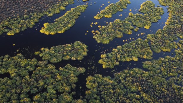 Plibersek swamps Victoria on Murray Darling water buybacks
