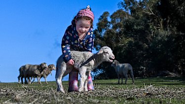Poppy Green cuddling a newborn lamb on the family’s Benalla farm.