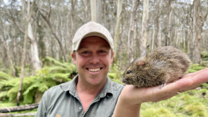 Conservation group investigated over alleged collection of rats from national park