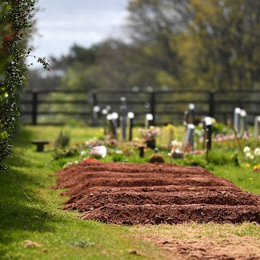 Pre-dug graves for COVID-19 deaths at Maker cemetery in Cornwall.