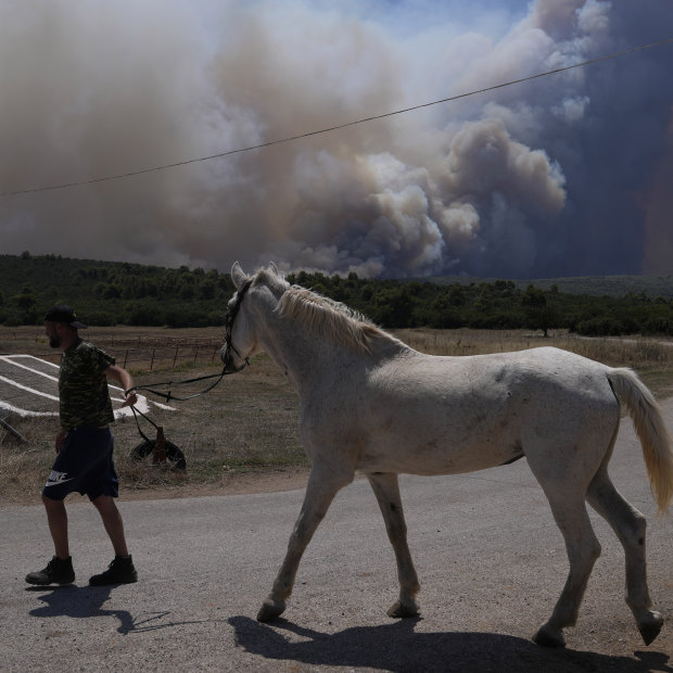 Bir adam Atina yakınlarındaki orman yangınlarından atını tahliye ediyor.