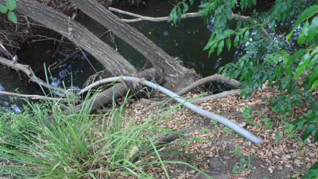 The pipe extracting water from Six Mile Creek to the Riverview Community Garden.