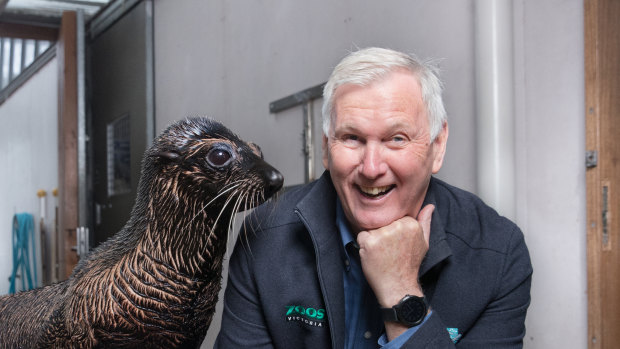 Seal of approval: Kevin Tanner will miss his neighbours when he steps down as director of Melbourne Zoo.