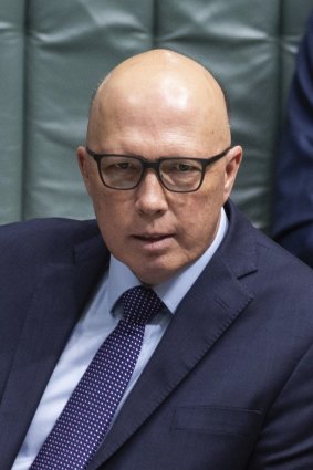 Peter Dutton wants a taskforce established to examine working with children checks.