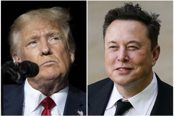 Former president Donald Trump and Tesla and X chief executive Elon Musk.