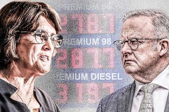 Federal Reserve governor Michele Bullock faces tough choices to get inflation under control. The discount on fuel will not help.