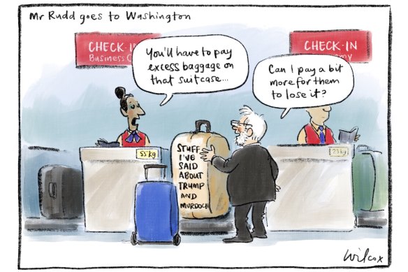 Illustration: Cathy Wilcox