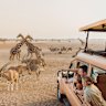 Excursion at Sir Bani Yas Island in Abu Dhabi … Celestyal Cruises’ Persian Gulf voyages.