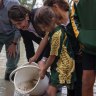 Berejiklian says NSW is emerging from drought as fish returned to Darling River