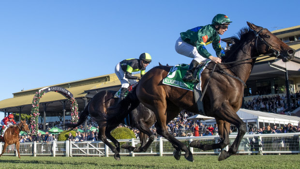 Victorian plea launched over Alligator Blood’s Cox Plate hopes