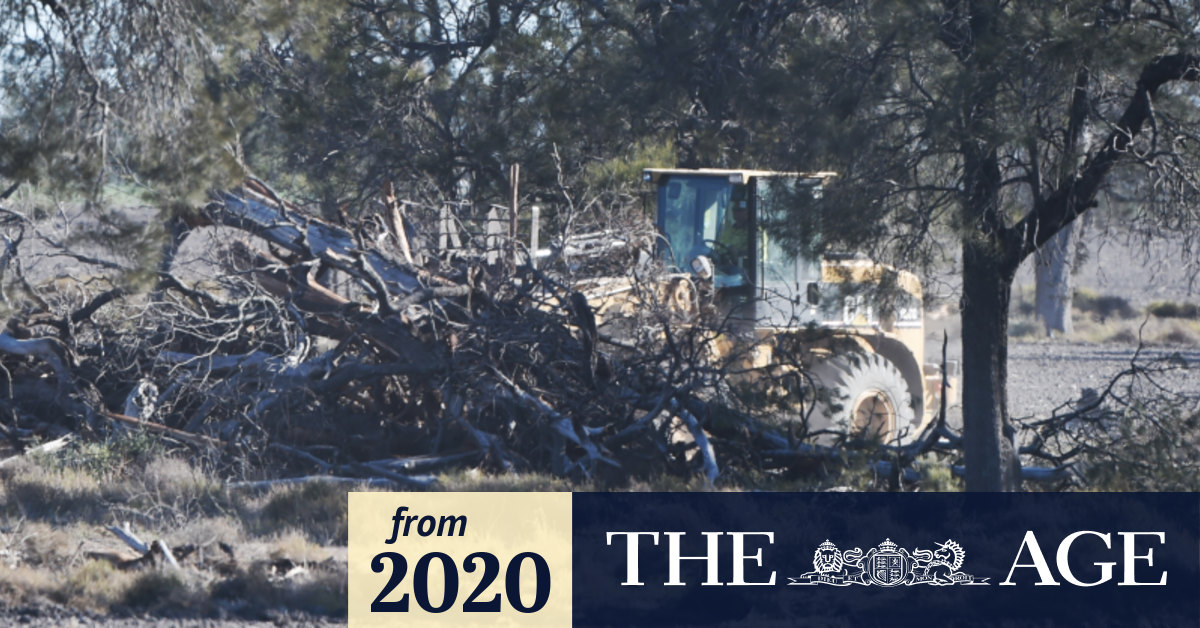 Devastating beauty ending image