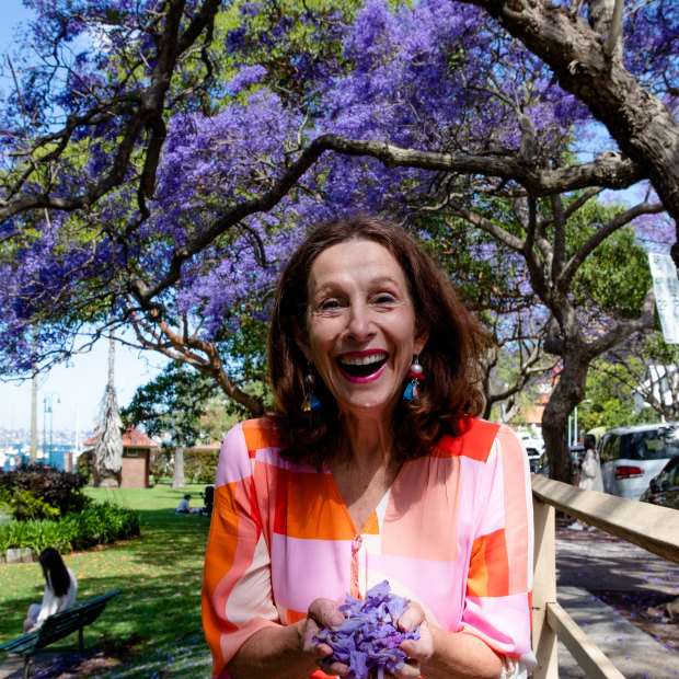 North Sydney mayor Jilly Gibson will give away 300 young jacaranda trees to local residents to bring more tourists to the area for the season. The trees are beginning to flower now, but will peak over the next few weeks. 