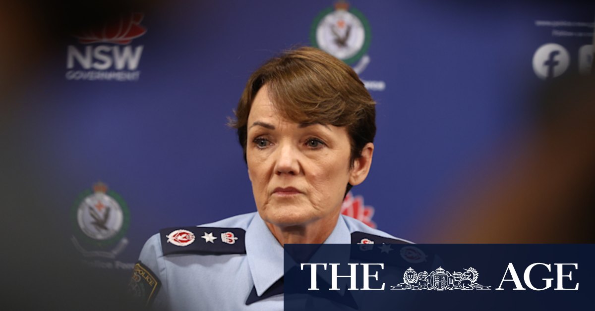 Jesse Baird, Luke Davies: Inside the NSW Police, Karen Webb's response to tragic alleged murder - Vimarsana News