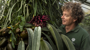 Royal Botanic Garden Sydney S Smelly Orchid Tour