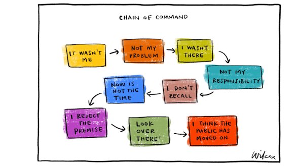 Illustration: Cathy Wilcox