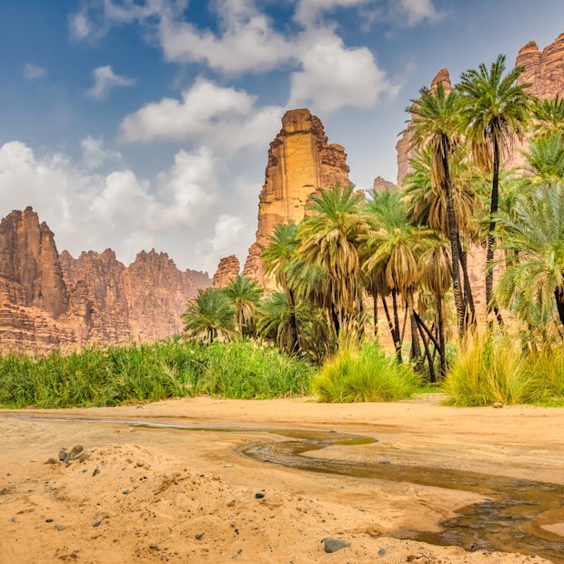 The otherworldly Wadi Disah – the Valley of the Palm Trees – near the Red Sea coast.