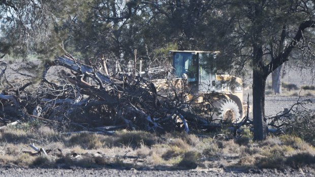 Land clearing on a property in northern NSW in August 2017 after biodiversity laws were weakened.