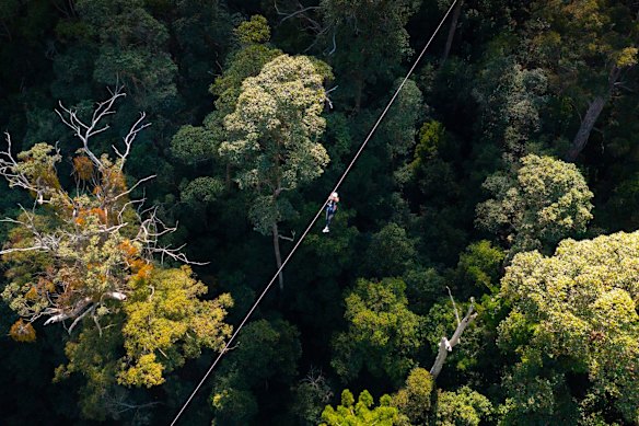 The state has backed a development near Springbrook in hopes of creating the nation's longest zip line.