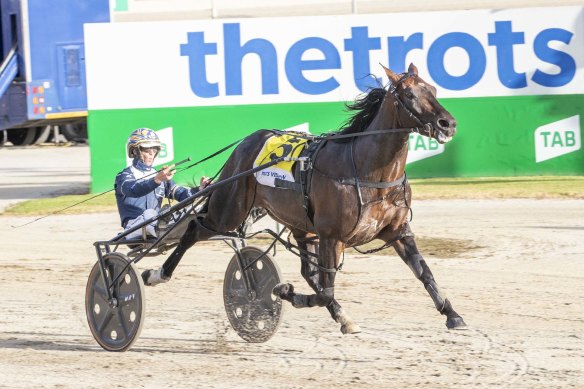 Captain Ravishing pins his ears back as he wins the Bonanza at Melton earlier this month.