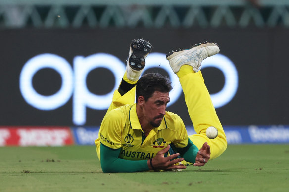 Mitchell Starc drops a chance against South Africa.